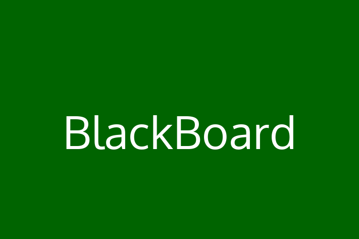 Application Development Company BlackBoard