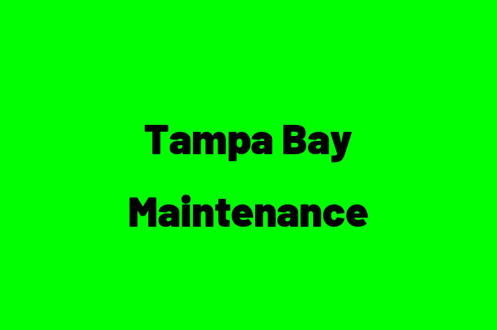 Residential Cleaning Tampa Bay Maintenance