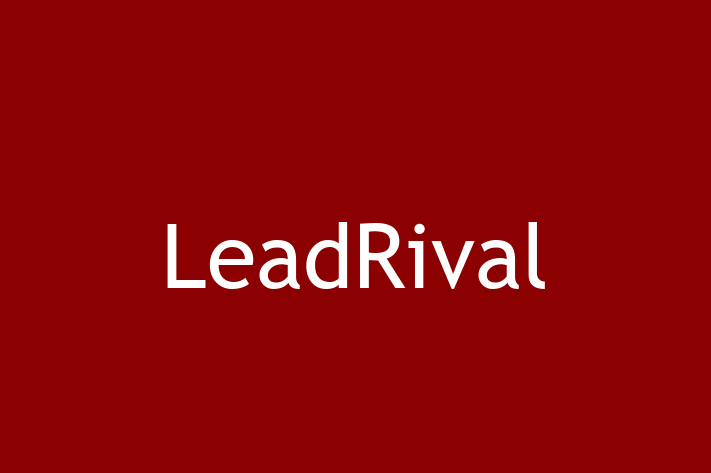 Digital Solutions Provider LeadRival