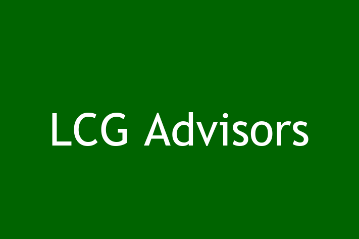 Software Services Company LCG Advisors