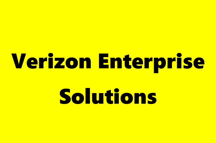 Software Development Firm Verizon Enterprise Solutions