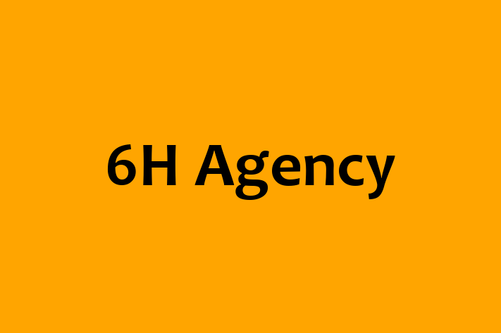 People Management 6H Agency