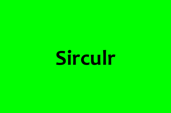 IT Company Sirculr