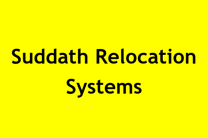 Labor Relations Suddath Relocation Systems