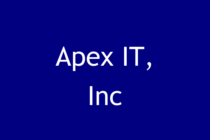 Tech Firm Apex IT Inc