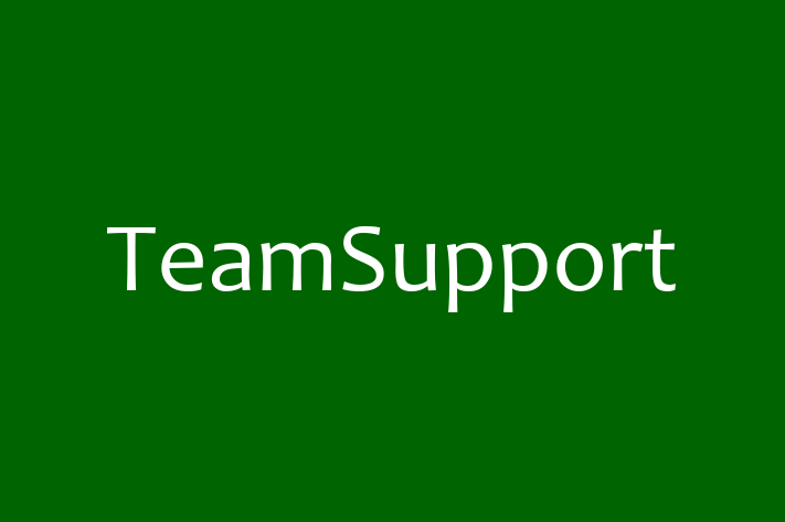 Software Consultancy TeamSupport