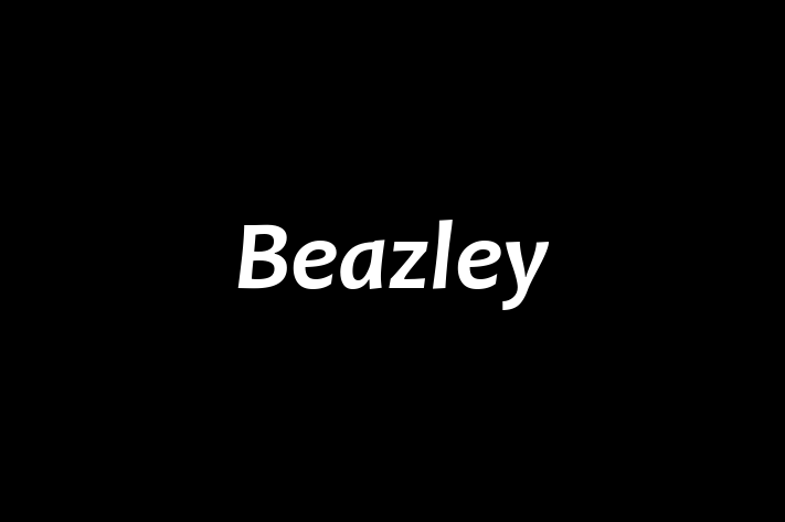 Employee Relations Beazley