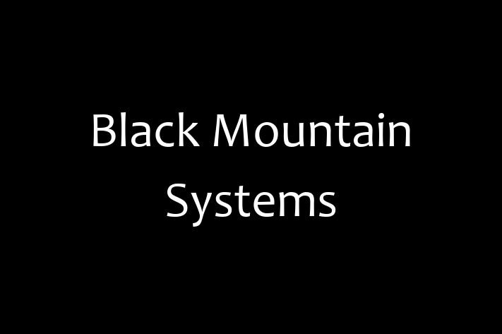 Software Solutions Provider Black Mountain Systems