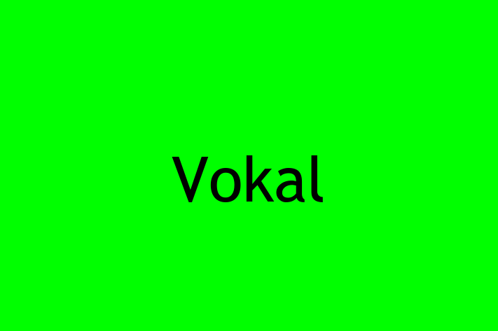 Technology Company Vokal