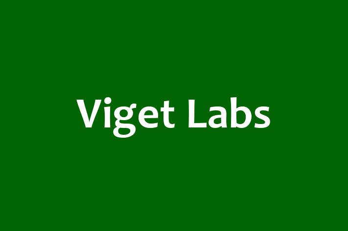 Software Consultancy Viget Labs