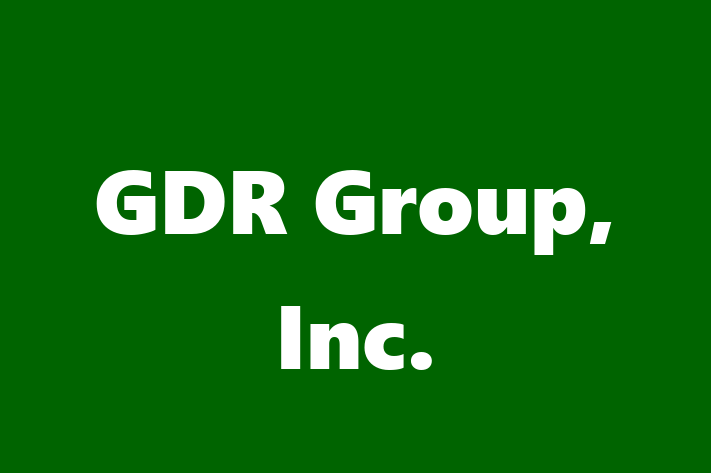 Software Development Company GDR Group Inc.