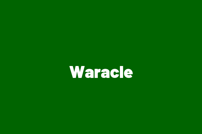 Staff Management Waracle