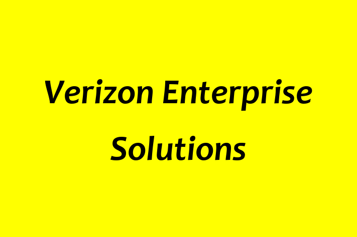 Software House Verizon Enterprise Solutions