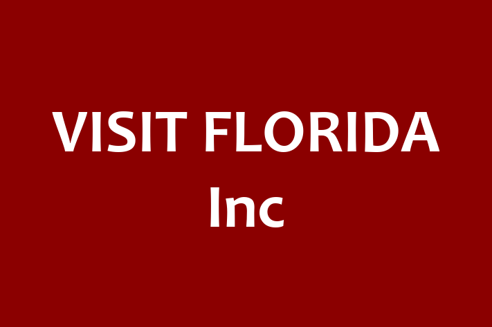 Software Consultancy VISIT FLORIDA Inc