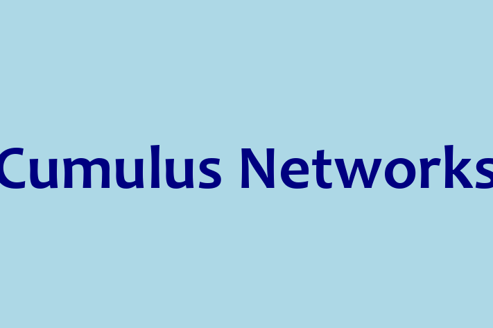 Technology Company Cumulus Networks