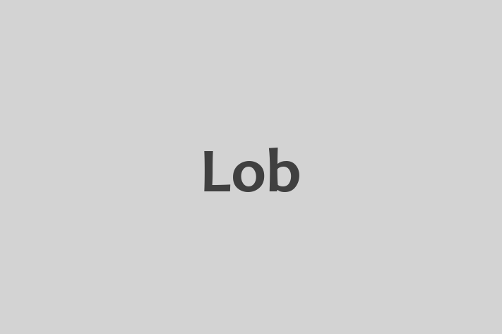 Software Development Firm Lob