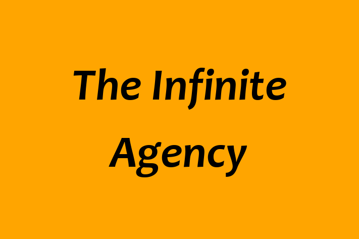 Software House The Infinite Agency