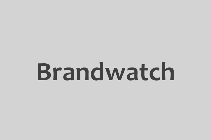 IT Company Brandwatch