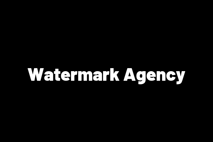 Software Firm Watermark Agency