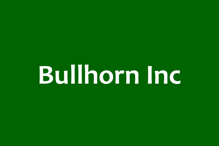 Software Services Company Bullhorn Inc