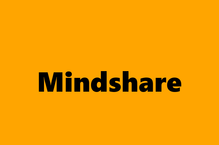 IT Company Mindshare