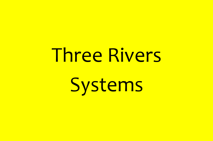 Software Consultancy Three Rivers Systems