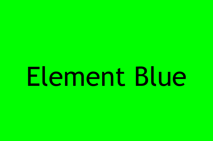 IT Company Element Blue