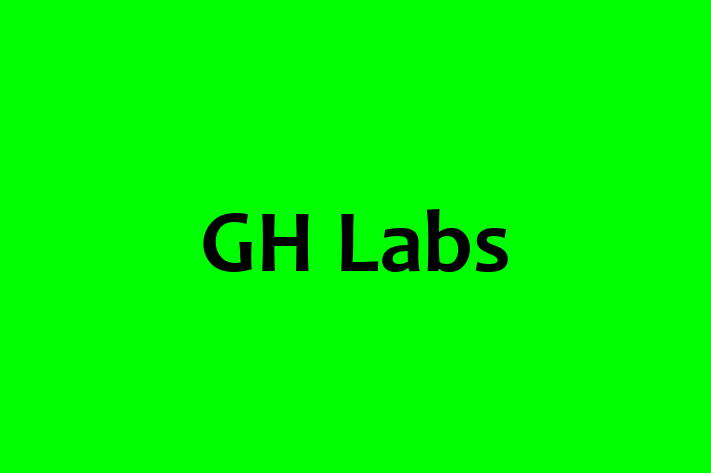 Human Capital Management GH Labs