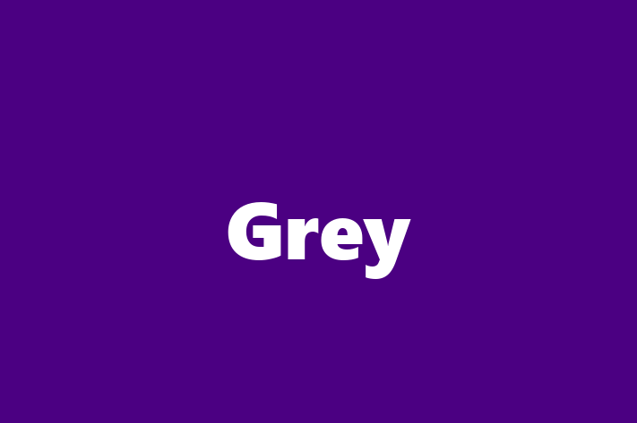 Technology Company Grey