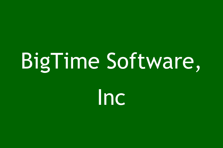 Technology Company BigTime Software Inc