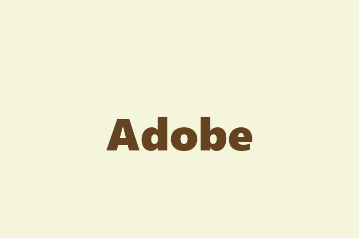 Technology Solutions Firm Adobe