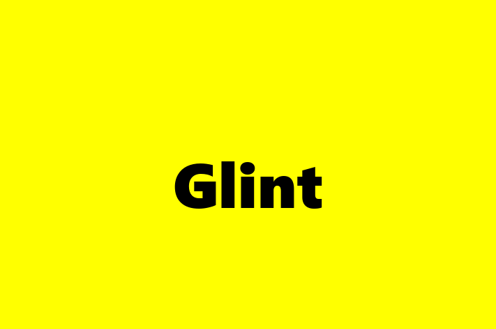 Software Services Company Glint