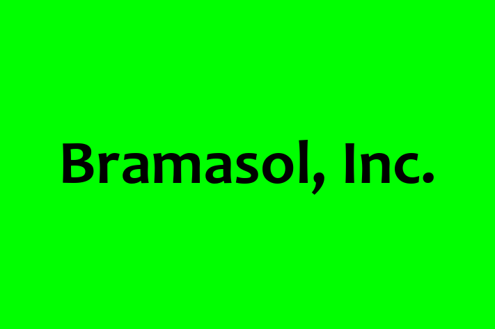 Software Development Company Bramasol Inc.