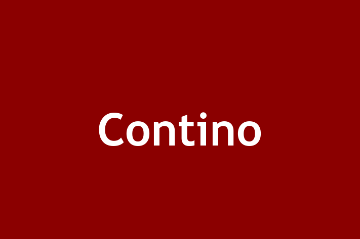 Software Development Company Contino