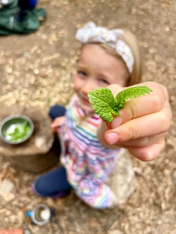 Labor Relations Waldorf School at Moraine Farm