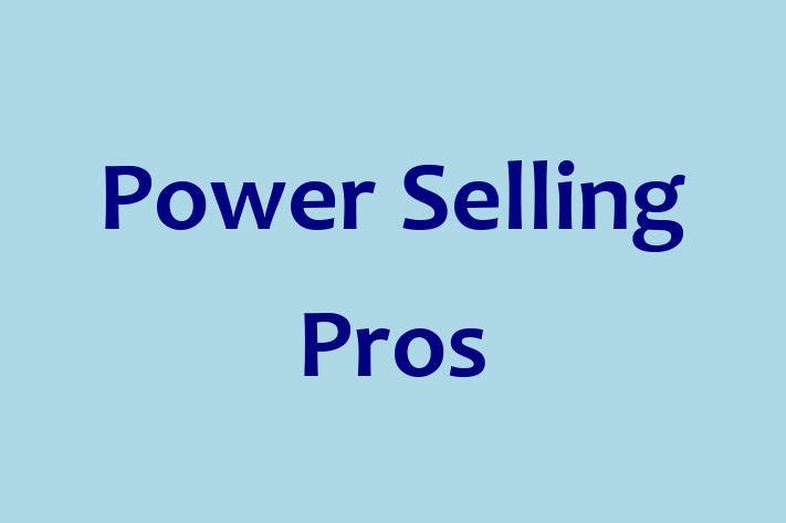 Software Consultancy Power Selling Pros