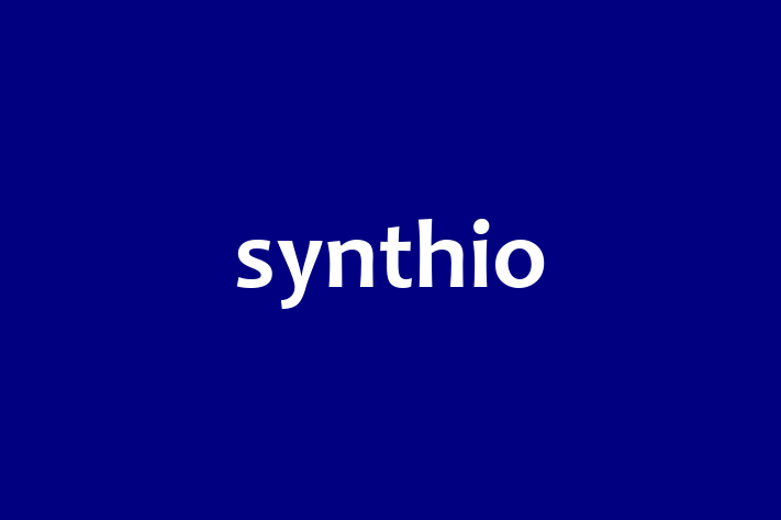 Tech Solutions Company synthio